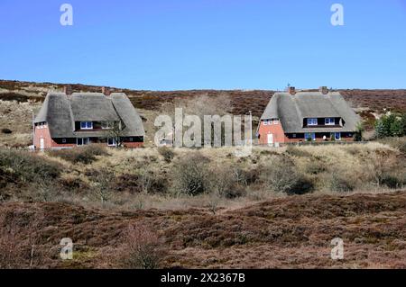 Houses List, Sylt, North Frisian Island, Traditional thatched houses in a quiet heathland, Sylt, Schleswig-Holstein, Germany Stock Photo