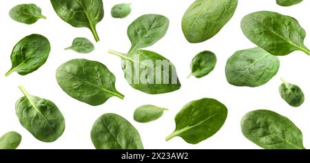 Fresh green spinach leaves falling on white background Stock Photo
