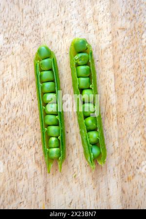 Freshly Picked organic Garden Peas in pods on chopping board, about to be shelled Stock Photo