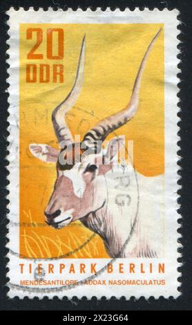 GERMANY - CIRCA 1970: stamp printed by Germany, shows Addax, circa 1970 Stock Photo