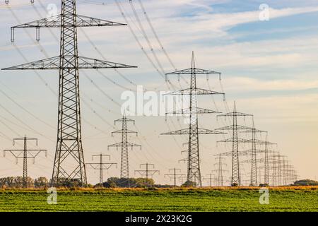 Countless electricity pylons and overhead power lines in rural areas in the evening at sunset, Germany Stock Photo