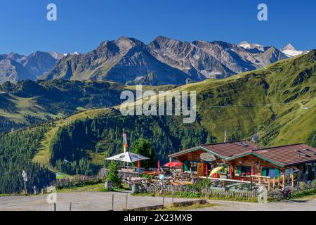 Excursion Alm Melchboden, Zillertal Alps with Olperer in the background, from the Zillertaler Höhenstraße, Tux Alps, Zillertal, Tyrol, Austria Stock Photo