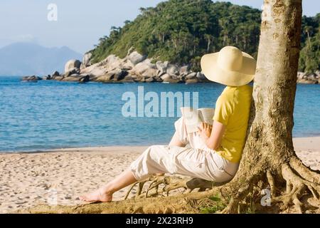 Woman reading a book on the beach, Bombinhas, Santa Catarina, Brazil Stock Photo