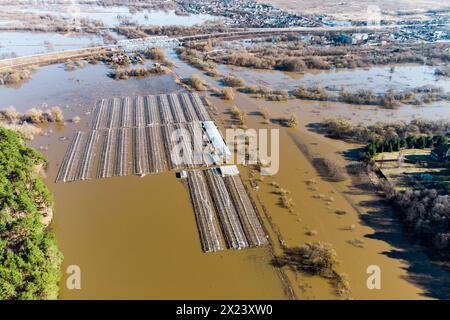 Farmland flooded with water during a strong river flood in spring, view ...