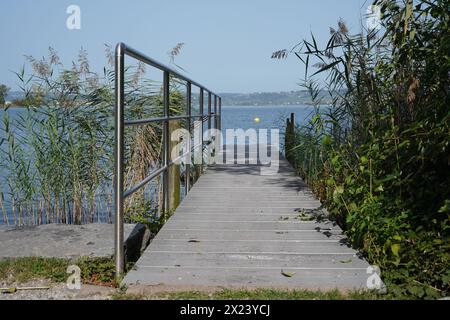 A wooden bridge with a metal barrier lined with grass and trees leading to the Zürichsee in the village of Altendorf. Stock Photo