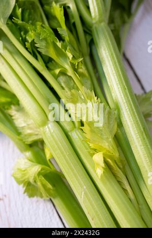 Celery stalks (close up) Stock Photo