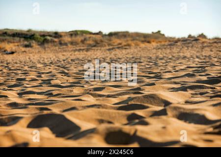 the abstract shapes of the sand on a sunny day Stock Photo