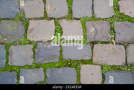 Gray structural stone wall of the ancient building consists of old bricks with green grass. Stock Photo