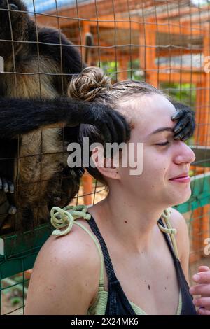 A Geoffroyi's spider monkey (Ateles geoffroyi) paws the face of a teenage girl at Jungle Top Adventures and Ziplines, Roat‡n, Honduras. Stock Photo