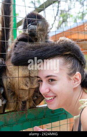 A Geoffroyi's spider monkey (Ateles geoffroyi) paws the face of a teenage girl at Jungle Top Adventures and Ziplines, Roat‡n, Honduras. Stock Photo