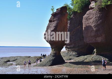 HOPEWELL CAPE, NEW BRUNSWICK, CANADA - August 15, 2022 - Sea stacks at low tide with tourist. Rock tower also called flowerpots. Stock Photo