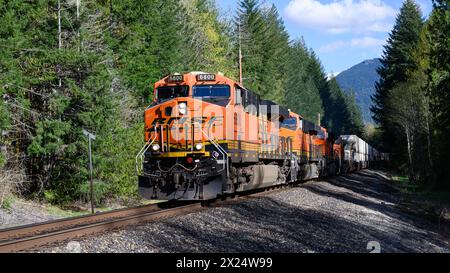 Skykomish, WA, USA - April 17, 2024; BNSF orange freight train of intermodal containers decends the Cascade Mountains Stock Photo