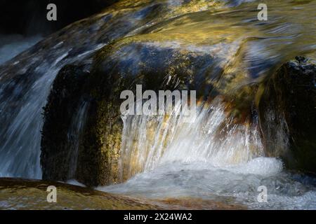 Sun catches a smooth rock  in the Cascade Mountains as water in the Rapid River rushes over it Stock Photo