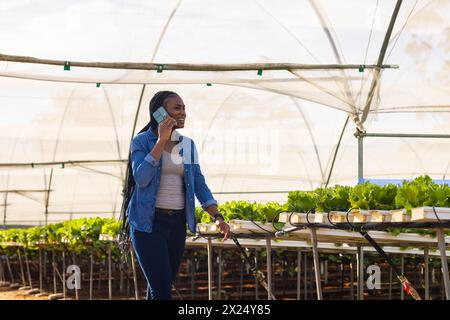 Young African American female farmer on phone, inspecting plants in hydroponic greenhouse Stock Photo