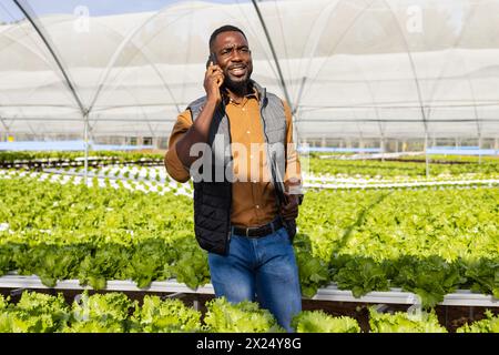 African American male farm supervisor chats on smartphone in hydroponic greenhouse Stock Photo