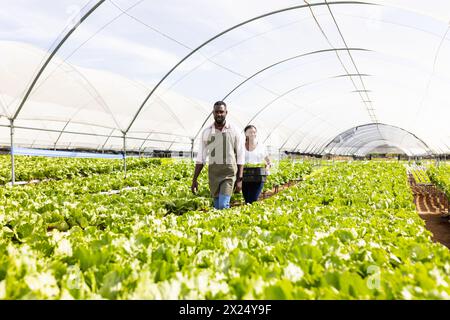 Two African American young farmers walking through hydroponic farm in greenhouse Stock Photo