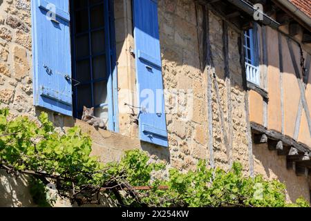 The village of Montignac Lascaux on the banks of the Vézère river in Périgord Noir and at the foot of the Lascaux hill where the most famous prehistor Stock Photo