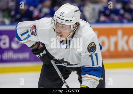 April 19th, 2024: Cleveland Monsters forward James Malatesta (11) skates in the third period against the Rochester Americans. The Rochester Americans hosted the Cleveland Monsters in an American Hockey League game at Blue Cross Arena in Rochester, New York. (Jonathan Tenca/CSM) Stock Photo