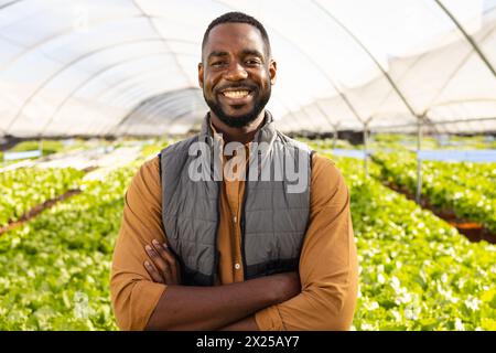 Black male farm supervisor in greenhouse, arms crossed Stock Photo