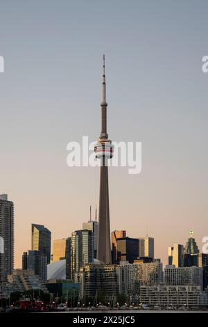 Evening view of the CN Tower and surrounding buildings from Billy Bishop Airport Stock Photo