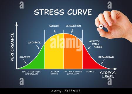 Hand drawing stress curve graph diagram with different stages from underload through overload and burnout and relation between performance and stress Stock Photo