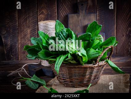 Sorrel. Bunch of fresh green organic sorrel leaf on wooden table closeup. Stock Photo