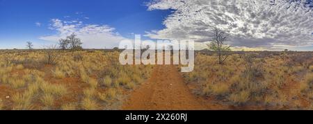 Panoramic picture over the Namibian Kalahari in the evening at sunset with blue sky and light clouds in summer Stock Photo