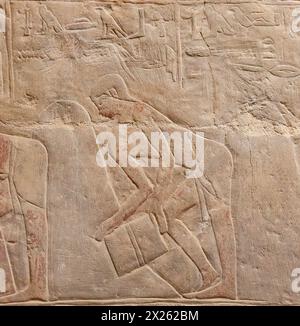 Egypt, Saqqara, tomb of Mereruka, scooping cereal grains. Stock Photo