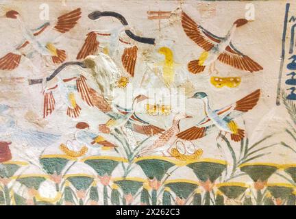 Luxor in Egypt, Valley of the Nobles, tomb of Nakht. Hunting in the marshes, with a boomerang. Stock Photo