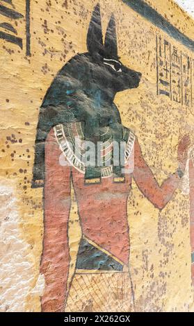 Egypt, Luxor, tomb of Tutankhamun, South wall of the funeral room : Anubis doing a protection gesture. Stock Photo