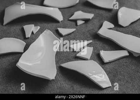 Splinters and Fragments of the broken white ware. Broken Plate, glass.  Pieces of shattered dishes. close-up, side view Stock Photo