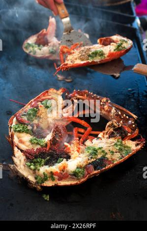 Cooked lobster (homarus) with caviar, vegetables and garlic butter on a plancha, Atlantic coast, Vandee, France Stock Photo