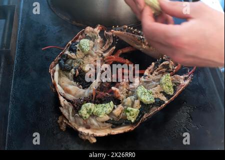 Cooked lobster (homarus) with caviar, vegetables and garlic butter on a plancha, Atlantic coast, Vandee, France Stock Photo