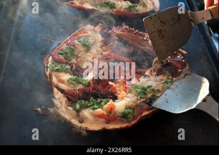 Cooked lobster (homarus) with caviar, vegetables and garlic butter on a plancha, Atlantic coast, Vandee, France Stock Photo