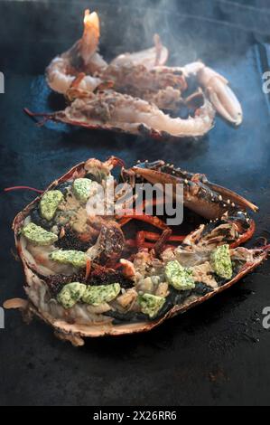 Cooked lobster (homarus) with caviar, vegetables and garlic butter on a plancha, Atlantic coast, Vandee, France Stock Photo