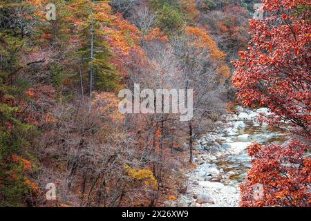 Autumn Scenery of Huangbaiyuan in Qinling Mountains, Shaanxi Province Stock Photo