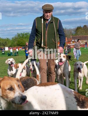 CLCH Hounds with the Huntsman  leaving  The Rathbones Countryside Arena  after greeting the children at Parham Point to Point races Parham,West Sussex Stock Photo