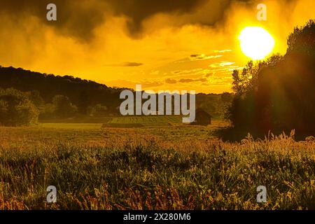 After the storm, the sun showed its golden color and honored us with its glory Stock Photo