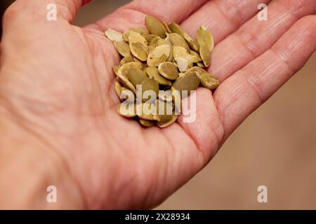 Close up of organic pumpkin seeds cupped in the palm of a hand Stock Photo