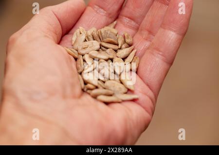 Close up of organic sunflower seeds cupped in the palm of a hand Stock Photo