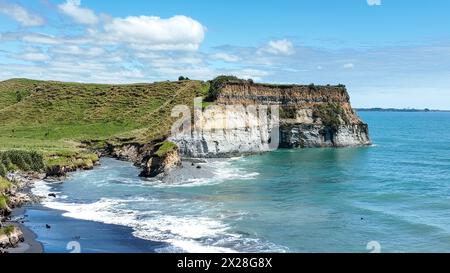 Agricultural pasture  and grazing land at the Taranaki coast Stock Photo