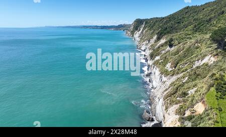 Agricultural pasture  and grazing land at the Taranaki coast Stock Photo