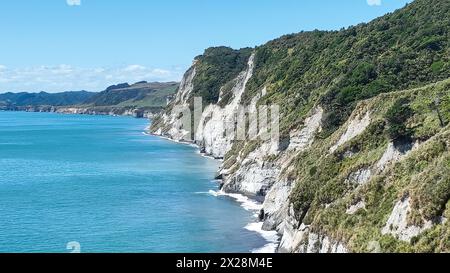 Agricultural pasture  and grazing land at the Taranaki coast Stock Photo