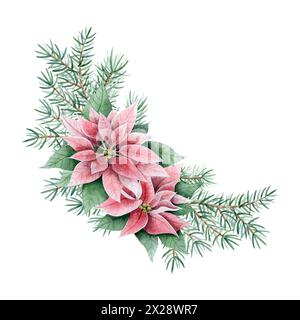 Christmas floral corner composition with poinsettia flowers and fir tree branches watercolor illustration. Winter plants Stock Photo