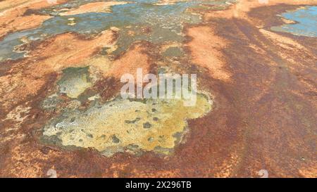 Dump toxic waste close-up factory sugarcane manufacturing mill sugar beet water former lagoon detail, plant effects nature soil contaminated chemicals Stock Photo
