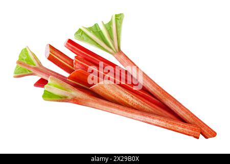 Fresh rhubarb isolated on white background Stock Photo