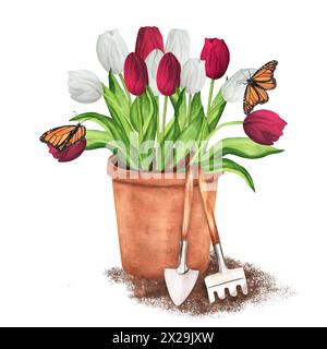 Hand-drawn watercolor illustration. Terracotta flowerpot with white and red tulips and butterflies. Garden pot with garden tools - rake and trowel Stock Photo