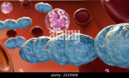 3d rendering of Septicemia, or sepsis, is the clinical name for blood poisoning by Streptococcus pyogenes bacteria. Stock Photo