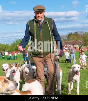 CLCH Hounds with the Huntsman  leaving  The Rathbones Countryside Arena  after greeting the children  at Parham Point to Point races Parham Stock Photo