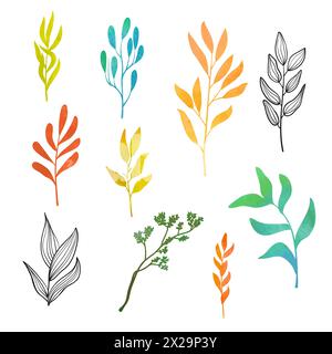 Colorful branches and leaves. Set of floral elements. Vector watercolor illustration Stock Vector